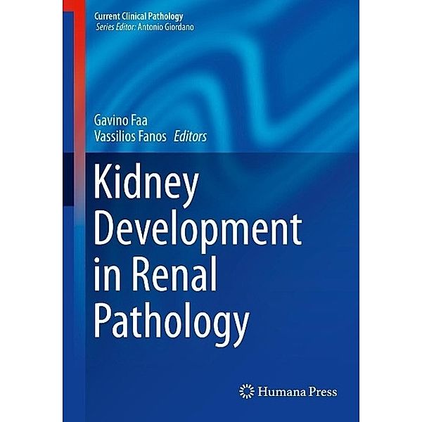 Kidney Development in Renal Pathology / Current Clinical Pathology