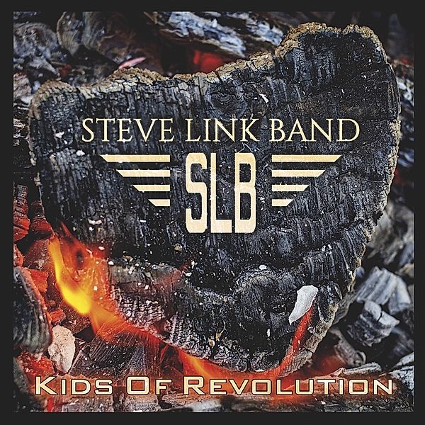 Kids Of Revolution, Steve Link Band