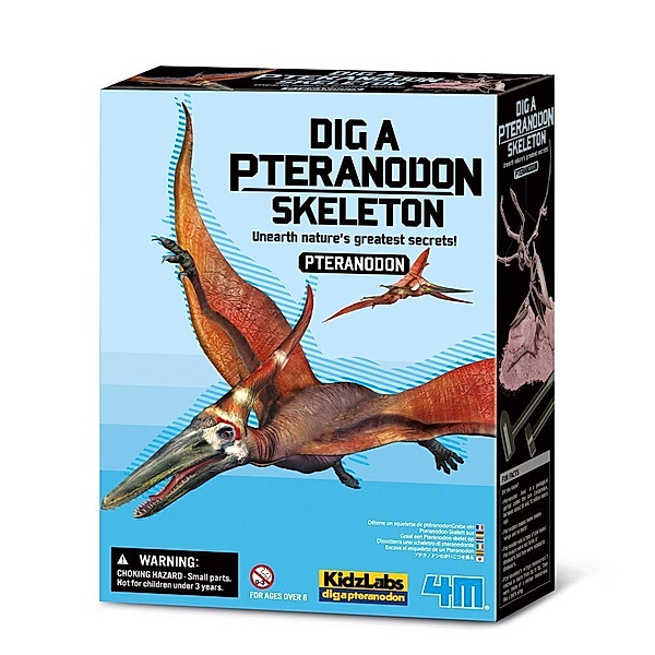 HCM Kinzel KidzLabs - Dinosaurier Ausgrabung Pteranodon
