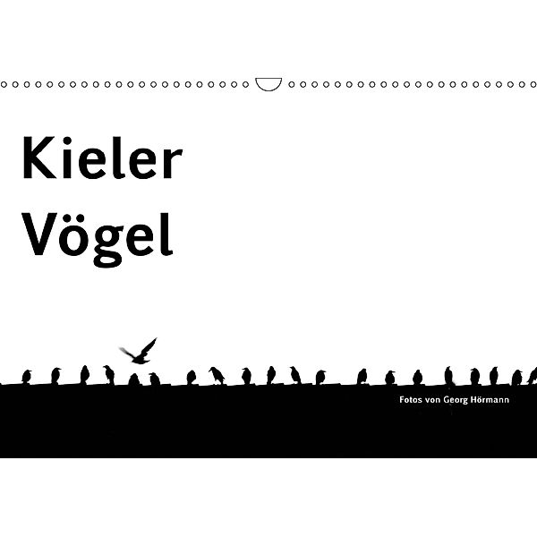 Kieler Vögel (Wandkalender 2019 DIN A3 quer), Georg Hörmann