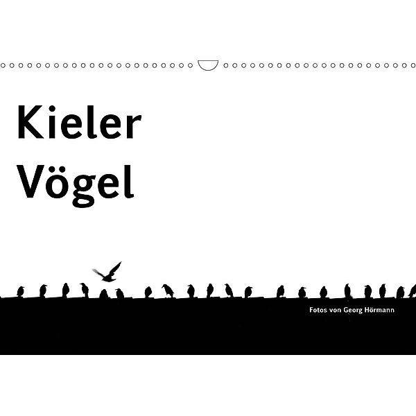 Kieler Vögel (Wandkalender 2021 DIN A3 quer), Georg Hörmann