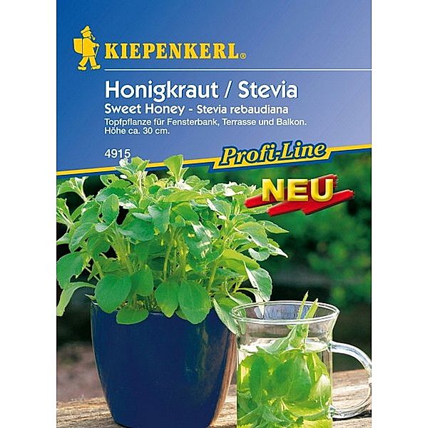 Kiepenkerl Honigkraut Stevia Sweet Honey