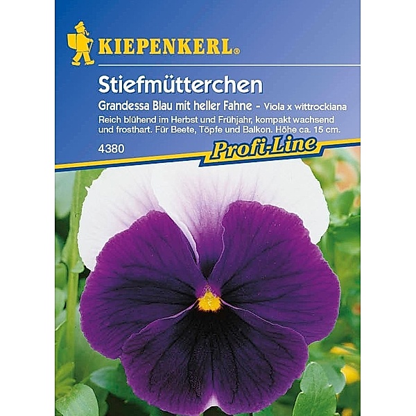 Kiepenkerl Stiefmütterchen (Viola x wittrockiana) Grandessa Blau mit heller Fahne