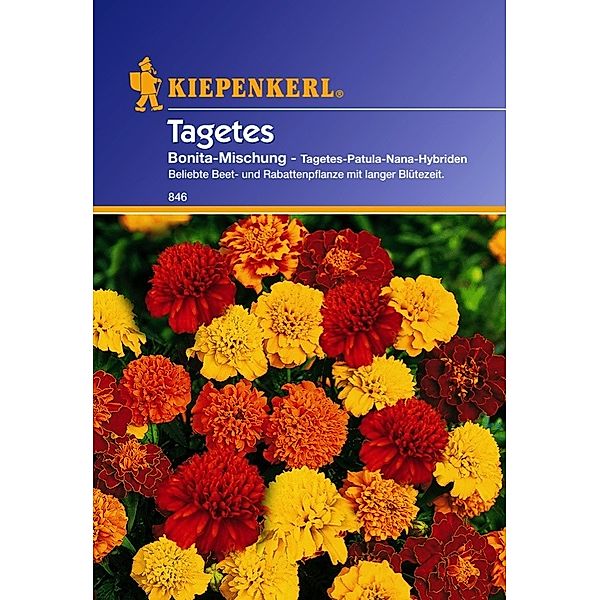 Kiepenkerl Tagetes (Tagetes x patula) Bonita Mischung