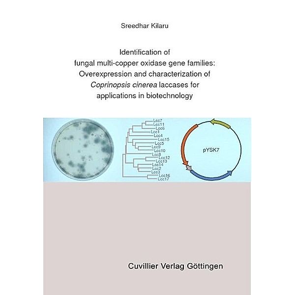 Kilaru, S: Identification of fungal multi-copper oxidase gen, Screedhar Kilaru