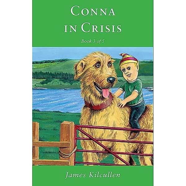 Kilcullen, J: Conna in Crisis, James Kilcullen