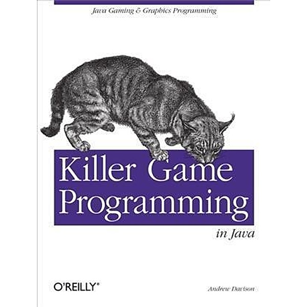 Killer Game Programming in Java, Andrew Davison