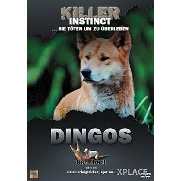 Killer Instinct: Dingos, Rob Bredl