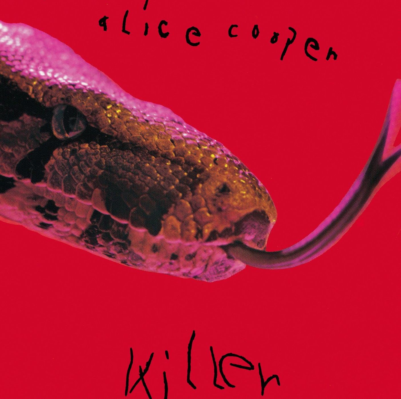 killer-vinyl-073470301.jpg