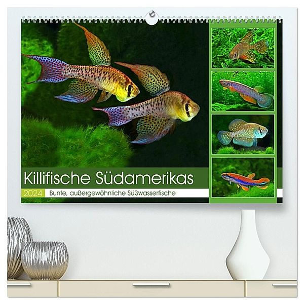 Killifische Südamerikas (hochwertiger Premium Wandkalender 2024 DIN A2 quer), Kunstdruck in Hochglanz, Rudolf Pohlmann