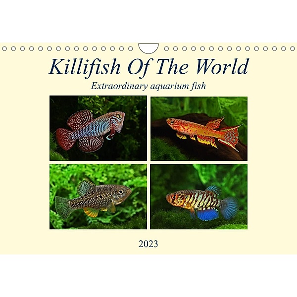 Killifish Of The World (Wall Calendar 2023 DIN A4 Landscape), Rudolf Pohlmann