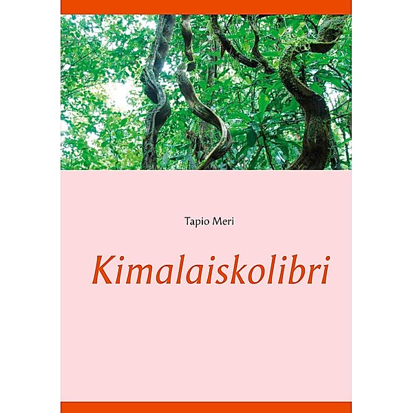 Kimalaiskolibri, Tapio Meri
