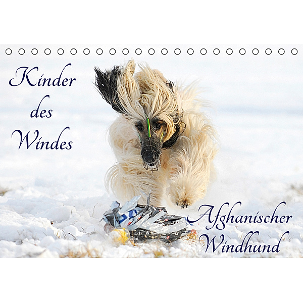 Kinder des Windes - Afghanischer Windhund (Tischkalender 2019 DIN A5 quer), Sigrid Starick