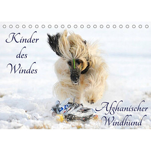 Kinder des Windes - Afghanischer Windhund (Tischkalender 2022 DIN A5 quer), Sigrid Starick