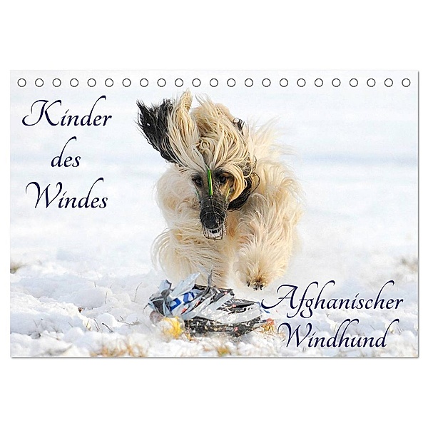 Kinder des Windes - Afghanischer Windhund (Tischkalender 2024 DIN A5 quer), CALVENDO Monatskalender, Sigrid Starick