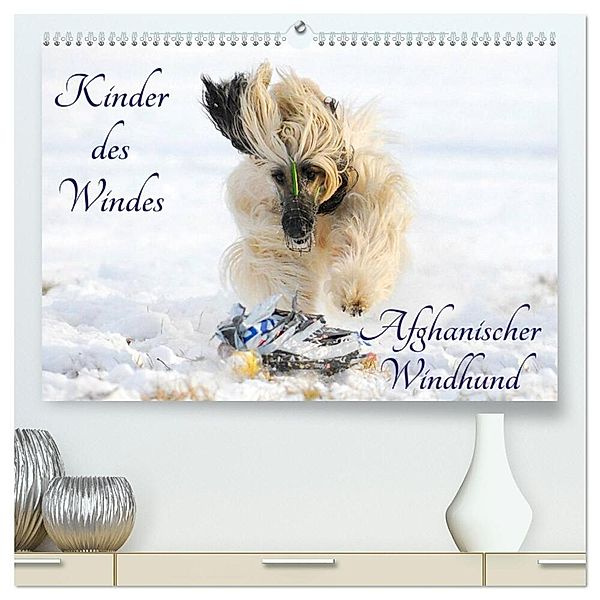 Kinder des Windes - Afghanischer Windhund (hochwertiger Premium Wandkalender 2025 DIN A2 quer), Kunstdruck in Hochglanz, Calvendo, Sigrid Starick