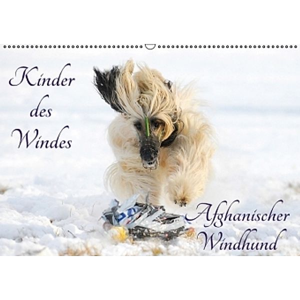 Kinder des Windes - Afghanischer Windhund (Wandkalender 2016 DIN A2 quer), Sigrid Starick