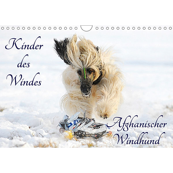 Kinder des Windes - Afghanischer Windhund (Wandkalender 2020 DIN A4 quer), Sigrid Starick