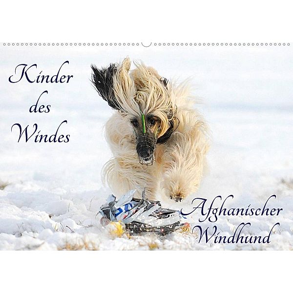 Kinder des Windes - Afghanischer Windhund (Wandkalender 2023 DIN A2 quer), Sigrid Starick