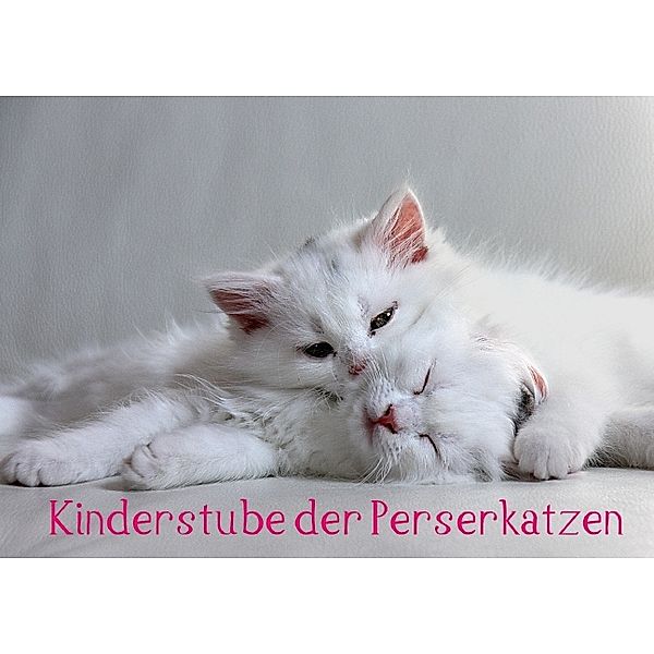 Kinderstube der Perserkatzen (Posterbuch DIN A4 quer), Arno Klatt