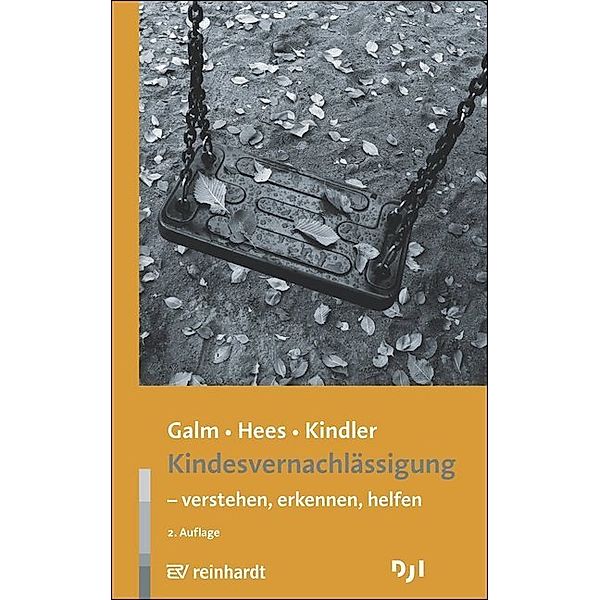 Kindesvernachlässigung - verstehen, erkennen, helfen, Beate Galm, Katja Hees, Heinz Kindler