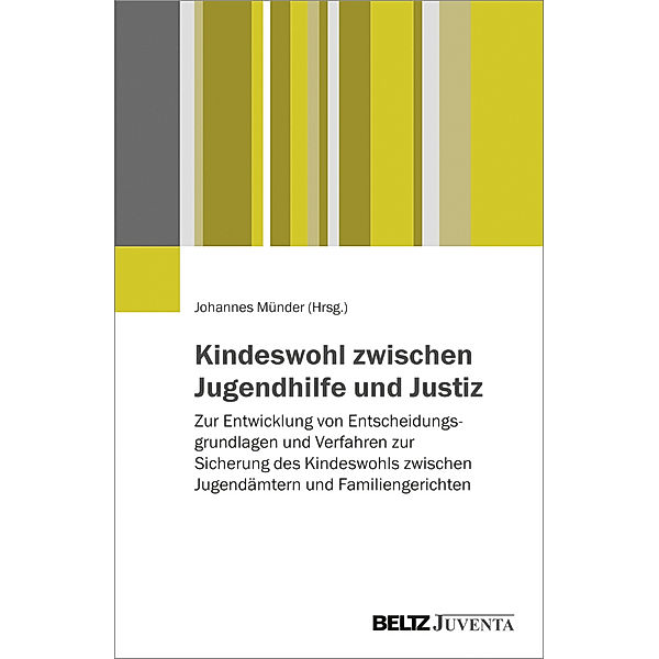 Kindeswohl zwischen Jugendhilfe und Justiz, Johannes Münder, Gabriele Bindel-Kögel, Helena Hoffmann, Wiebke Lampe, Reinhold Schone, Barbara Seidenstücker