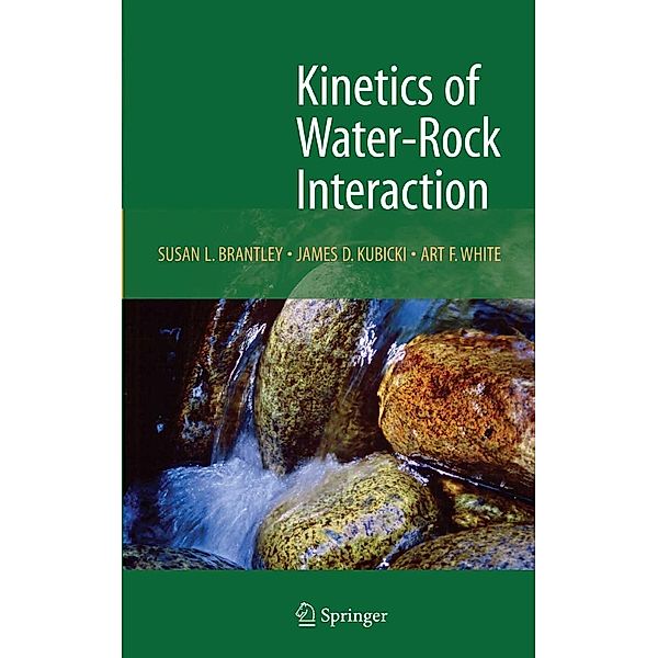 Kinetics of Water-Rock Interaction