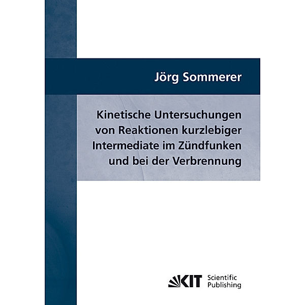 Kinetische Untersuchungen von Reaktionen kurzlebiger Intermediate im Zündfunken und bei der Verbrennung, Jörg Sommerer