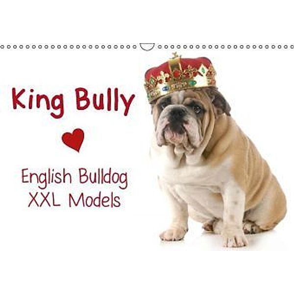 King Bully English Bulldog / XXL Models (Wandkalender 2014 DIN A3 quer), Elisabeth Stanzer