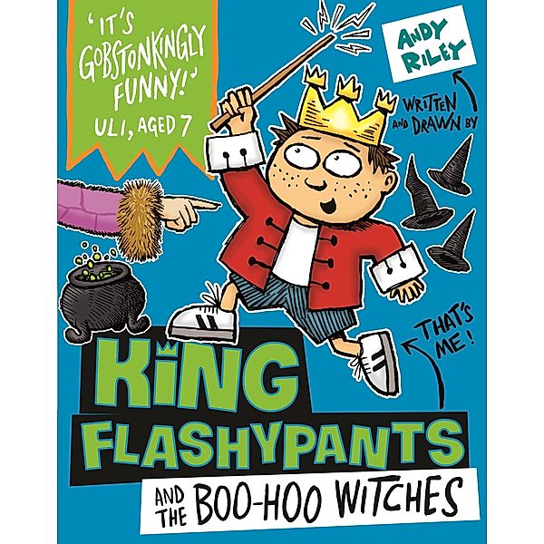 King Flashypants and the Boo-Hoo Witches / King Flashypants Bd.4, Andy Riley