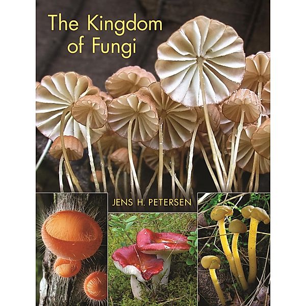 Kingdom of Fungi, Jens H. Petersen