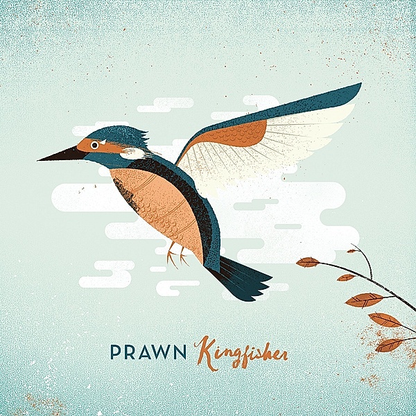 Kingfisher, Prawn
