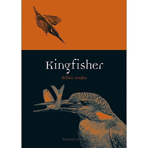 Kingfisher / Animal, Szabo Ildiko Szabo