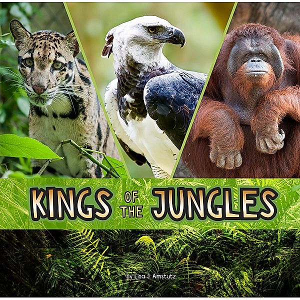 Kings of the Jungles / Raintree Publishers, Lisa J. Amstutz