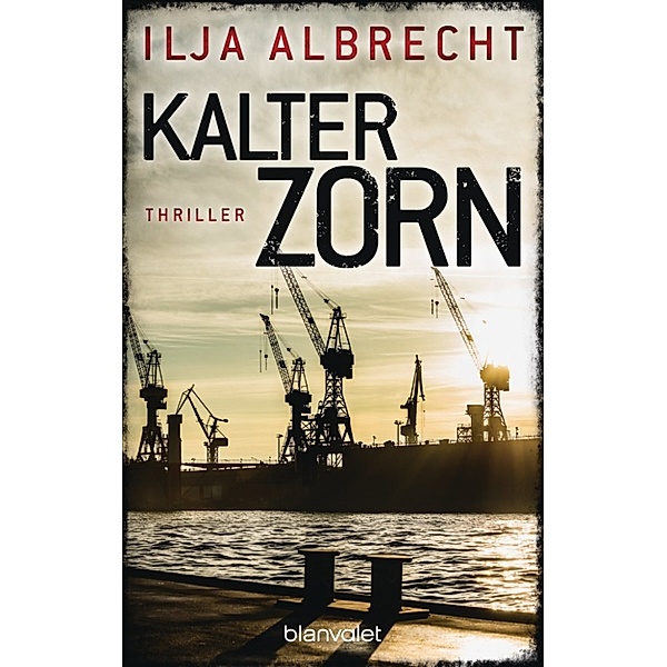 Kiran Mendelsohn Band 2: Kalter Zorn, Ilja Albrecht