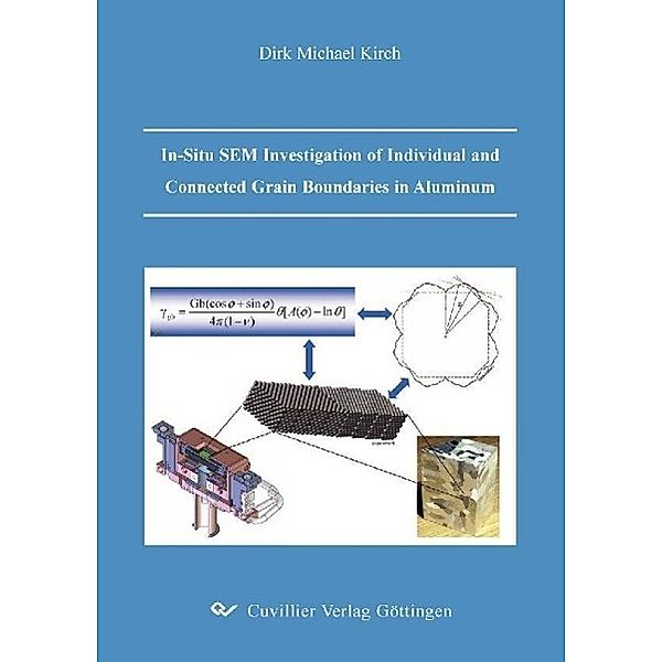 Kirch, D: In-Situ SEM Investigation of Individual and Connec, Dirk Michael Kirch