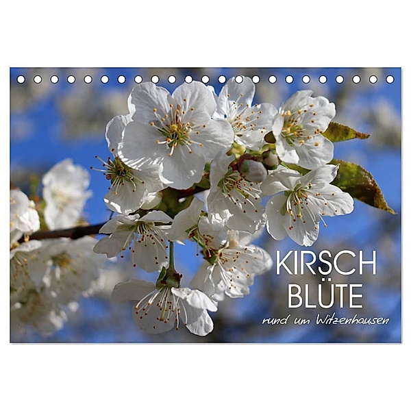Kirschblüte rund um Witzenhausen (Tischkalender 2024 DIN A5 quer), CALVENDO Monatskalender, Sabine Löwer