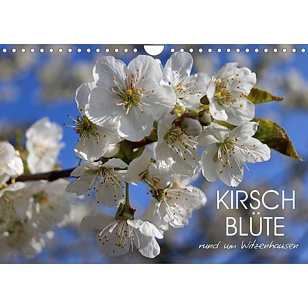 Kirschblüte rund um Witzenhausen (Wandkalender 2022 DIN A4 quer), Sabine Löwer