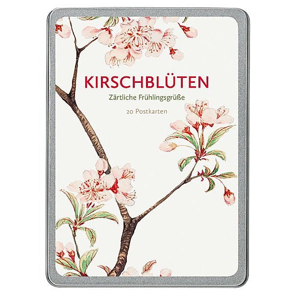 Kirschblüten