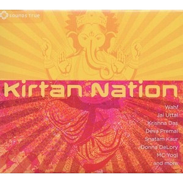 Kirtan Nation, Diverse Interpreten