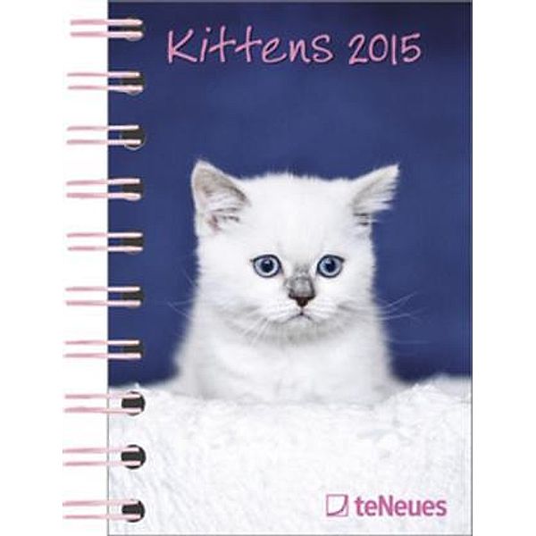 Kittens 2015