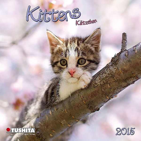 Kittens 2015