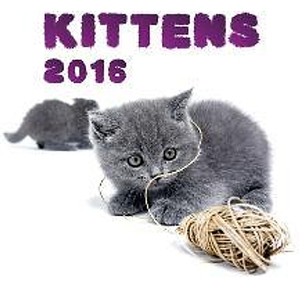 Kittens 2016