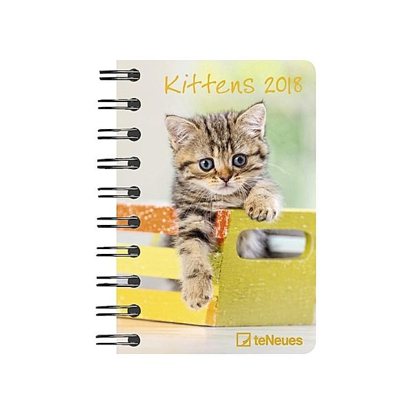 Kittens 2018 Pocket Diary