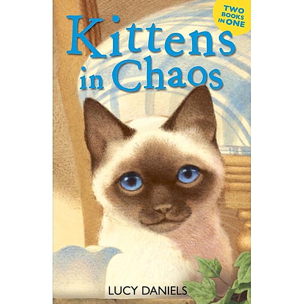 Kittens in Chaos / Animal Ark Bd.89, Lucy Daniels