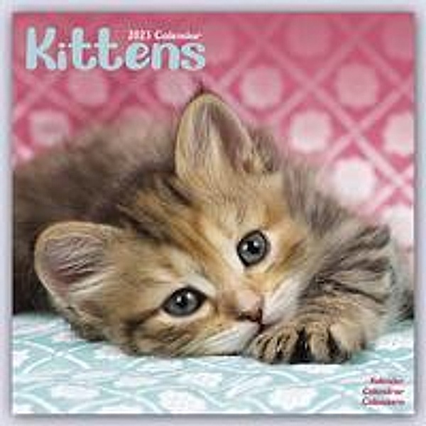 Kittens - Kätzchen 2023 - 16-Monatskalender, Avonside Publishing Ltd