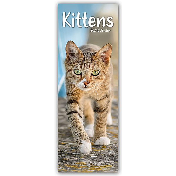 Kittens - Kätzchen - Katzenbabys 2024, Avonside Publishing Ltd