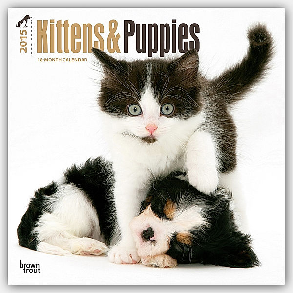 Kittens & Puppies 2015 Wall
