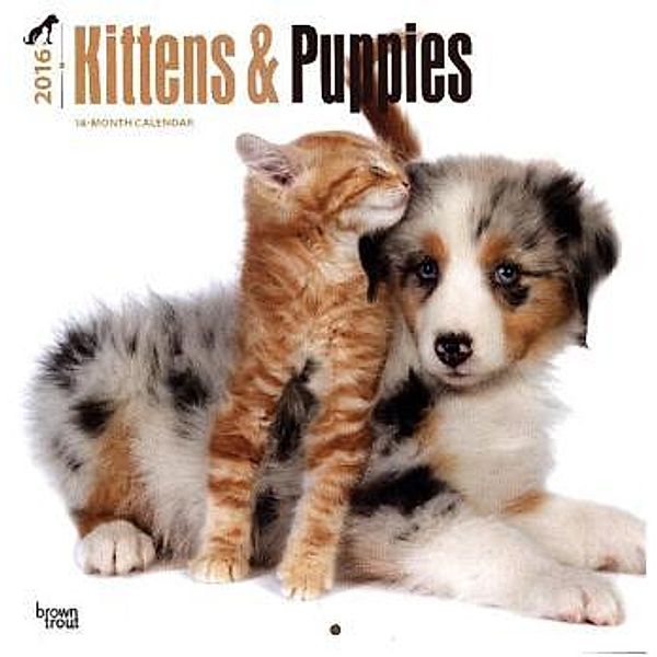 Kittens & Puppies 2016