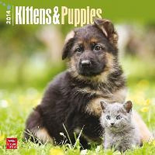 Kittens & Puppies Calendar